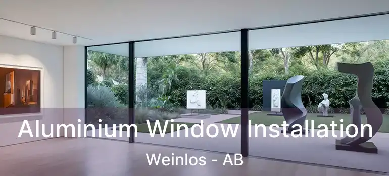  Aluminium Window Installation Weinlos - AB