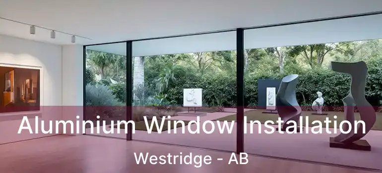  Aluminium Window Installation Westridge - AB