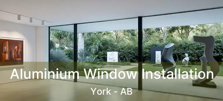  Aluminium Window Installation York - AB