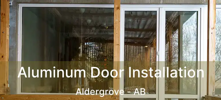  Aluminum Door Installation Aldergrove - AB