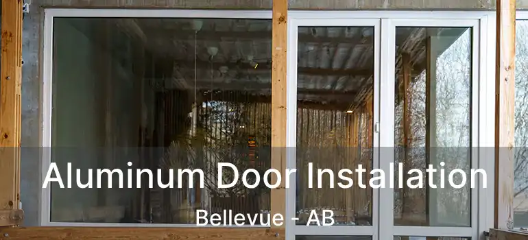  Aluminum Door Installation Bellevue - AB