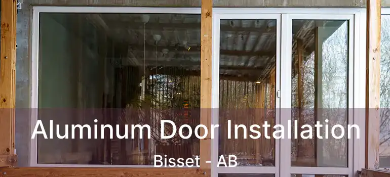  Aluminum Door Installation Bisset - AB