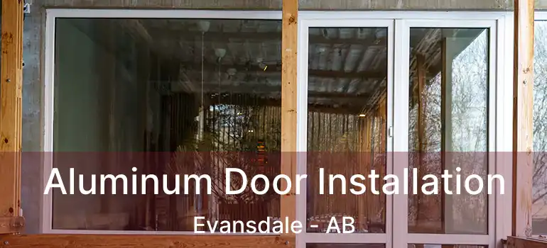  Aluminum Door Installation Evansdale - AB