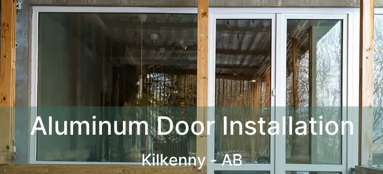  Aluminum Door Installation Kilkenny - AB