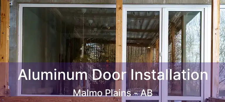  Aluminum Door Installation Malmo Plains - AB