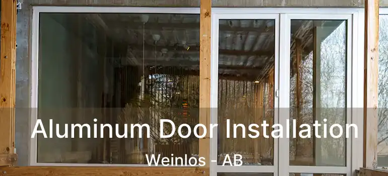  Aluminum Door Installation Weinlos - AB