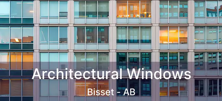  Architectural Windows Bisset - AB