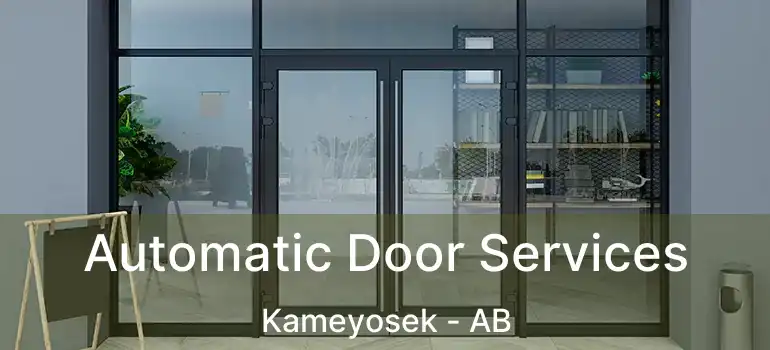  Automatic Door Services Kameyosek - AB