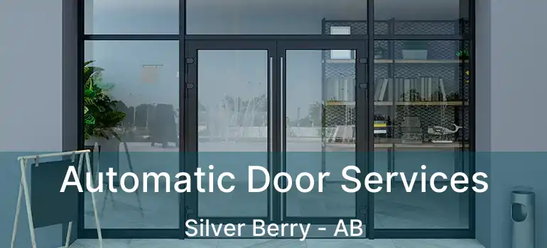 Automatic Door Services Silver Berry - AB