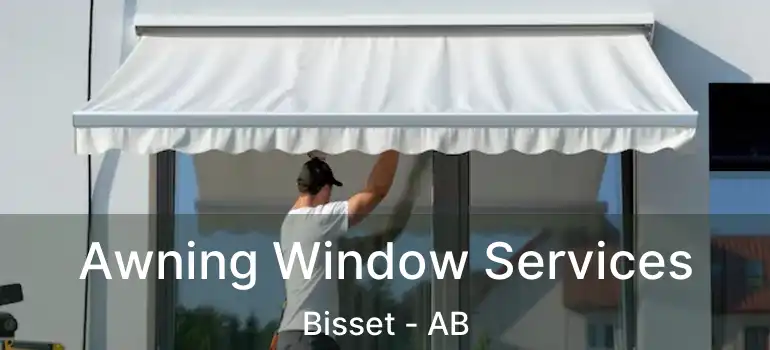  Awning Window Services Bisset - AB