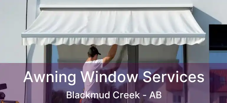  Awning Window Services Blackmud Creek - AB