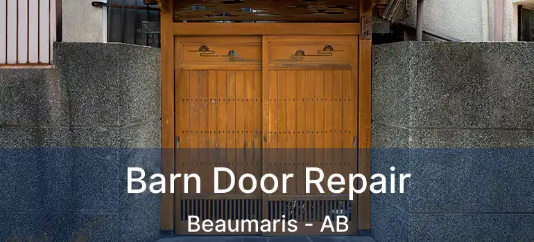 Barn Door Repair Beaumaris - AB