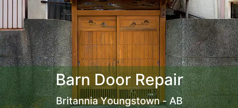 Barn Door Repair Britannia Youngstown - AB