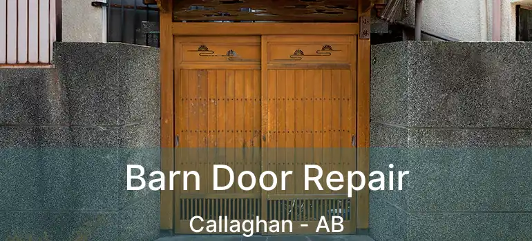  Barn Door Repair Callaghan - AB