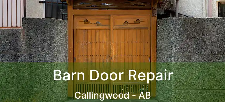  Barn Door Repair Callingwood - AB
