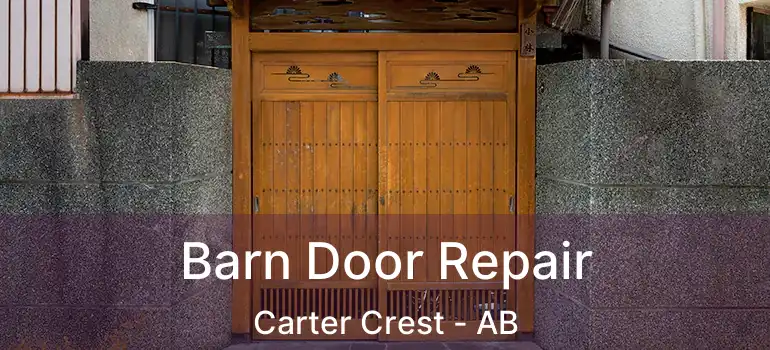  Barn Door Repair Carter Crest - AB