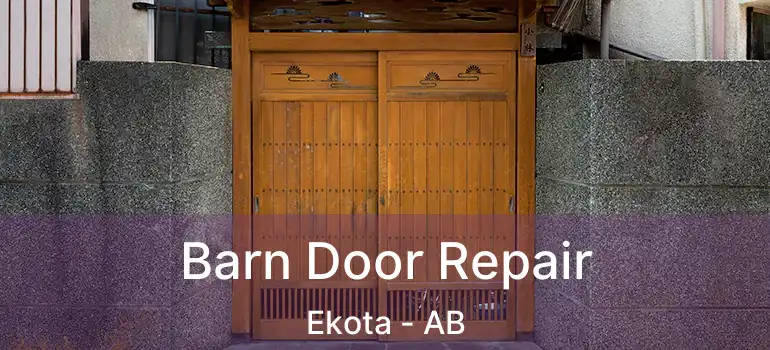  Barn Door Repair Ekota - AB