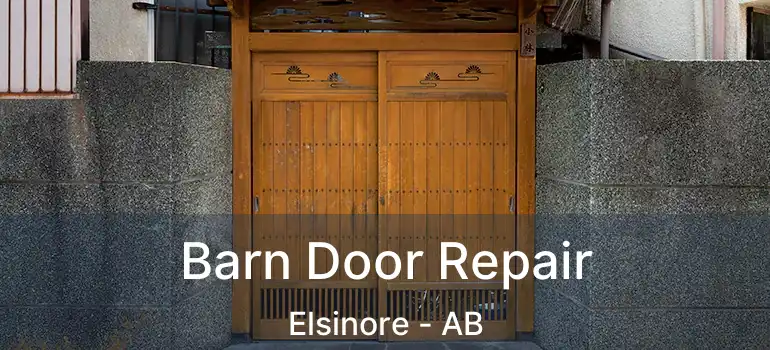 Barn Door Repair Elsinore - AB