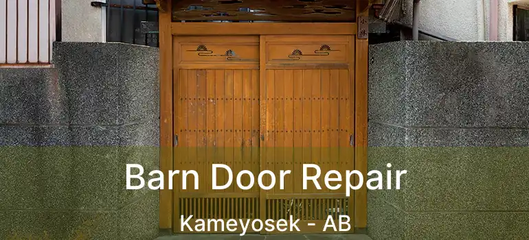  Barn Door Repair Kameyosek - AB