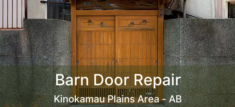  Barn Door Repair Kinokamau Plains Area - AB