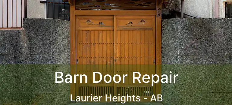  Barn Door Repair Laurier Heights - AB