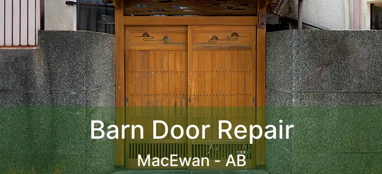  Barn Door Repair MacEwan - AB