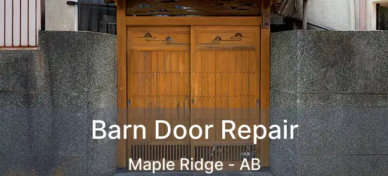  Barn Door Repair Maple Ridge - AB