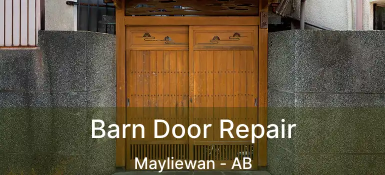  Barn Door Repair Mayliewan - AB