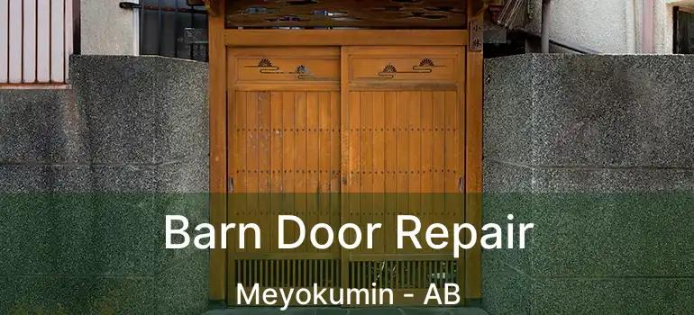  Barn Door Repair Meyokumin - AB