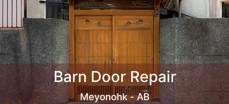  Barn Door Repair Meyonohk - AB