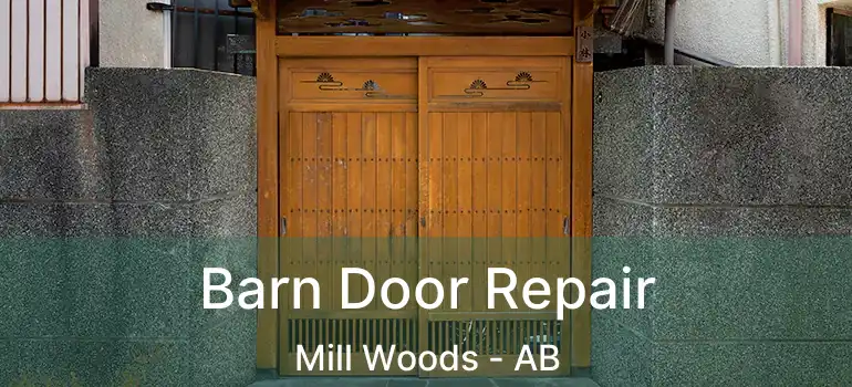  Barn Door Repair Mill Woods - AB
