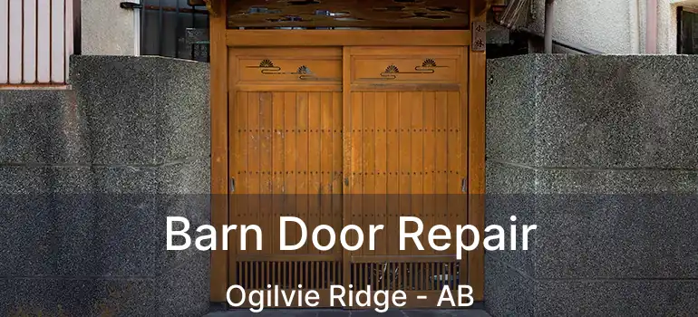  Barn Door Repair Ogilvie Ridge - AB