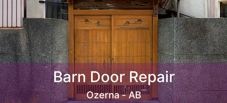  Barn Door Repair Ozerna - AB