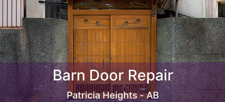  Barn Door Repair Patricia Heights - AB
