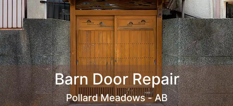  Barn Door Repair Pollard Meadows - AB