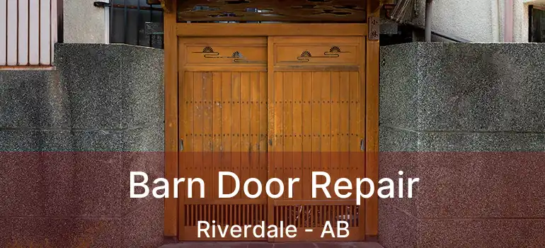  Barn Door Repair Riverdale - AB