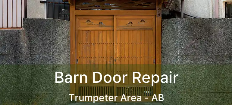  Barn Door Repair Trumpeter Area - AB