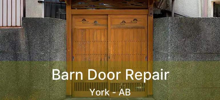  Barn Door Repair York - AB