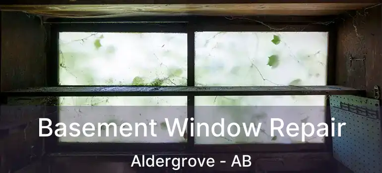  Basement Window Repair Aldergrove - AB