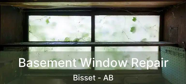  Basement Window Repair Bisset - AB