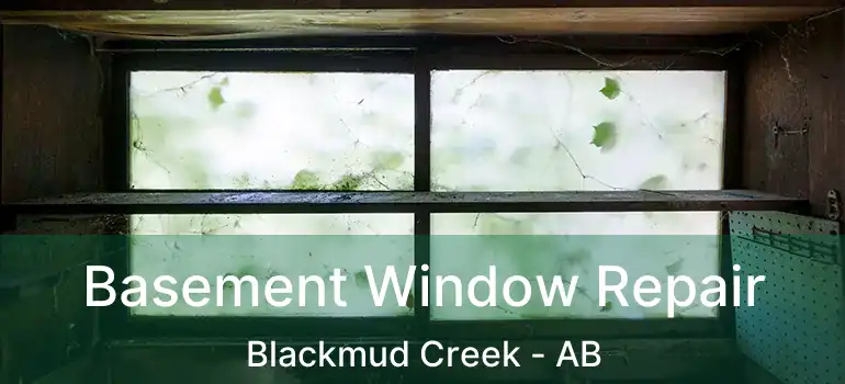  Basement Window Repair Blackmud Creek - AB