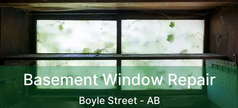  Basement Window Repair Boyle Street - AB