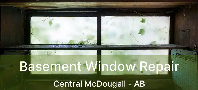  Basement Window Repair Central McDougall - AB