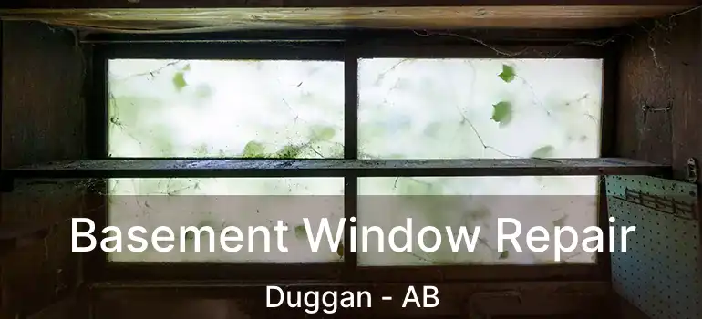  Basement Window Repair Duggan - AB
