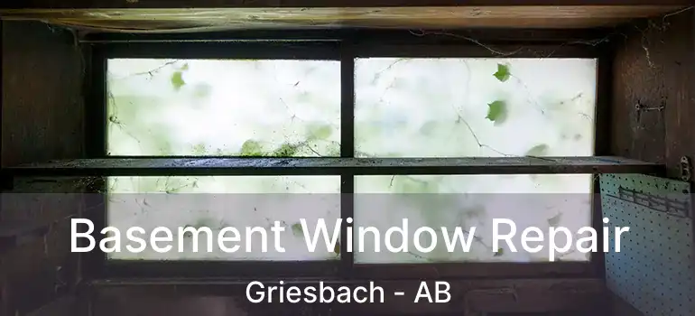  Basement Window Repair Griesbach - AB