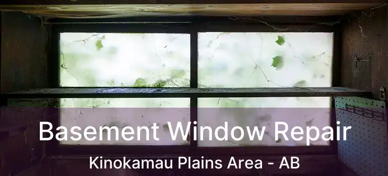  Basement Window Repair Kinokamau Plains Area - AB