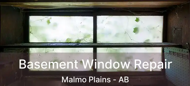  Basement Window Repair Malmo Plains - AB