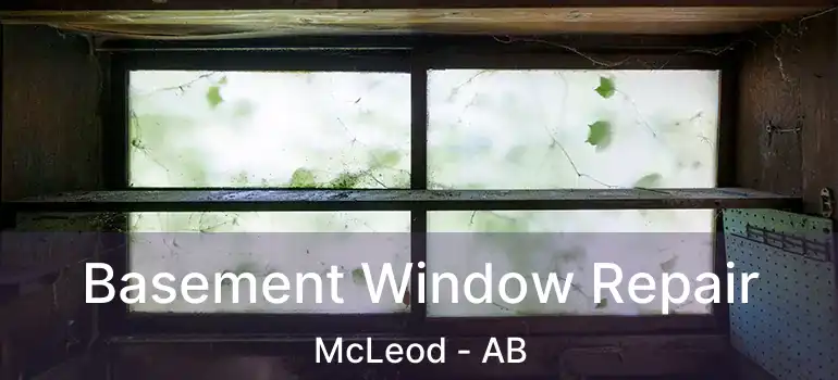  Basement Window Repair McLeod - AB