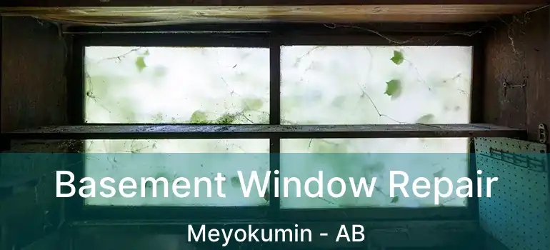 Basement Window Repair Meyokumin - AB