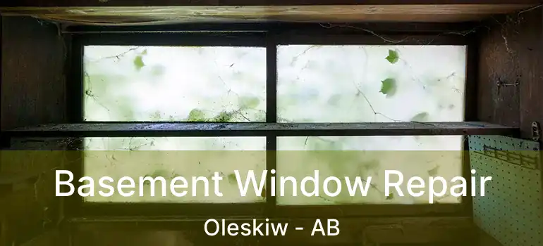  Basement Window Repair Oleskiw - AB